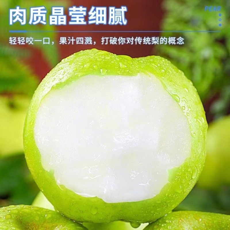 河北翠冠梨，精品翠冠梨，保质保量，坏果包赔欢迎质询