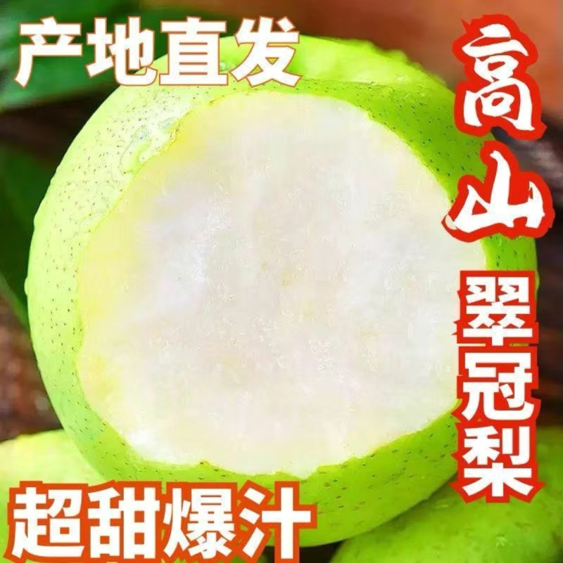 河北翠冠梨，精品翠冠梨，保质保量，坏果包赔欢迎质询
