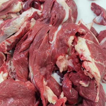 牛肉筋