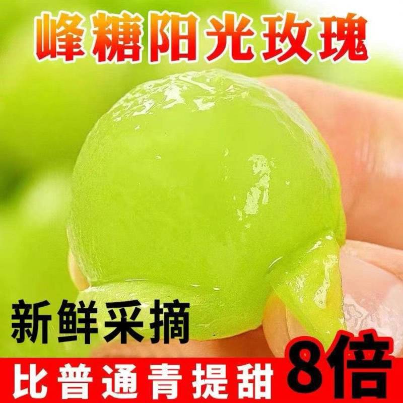 山东精品阳光玫瑰，产地直发，坏果包赔，欢迎来电咨询