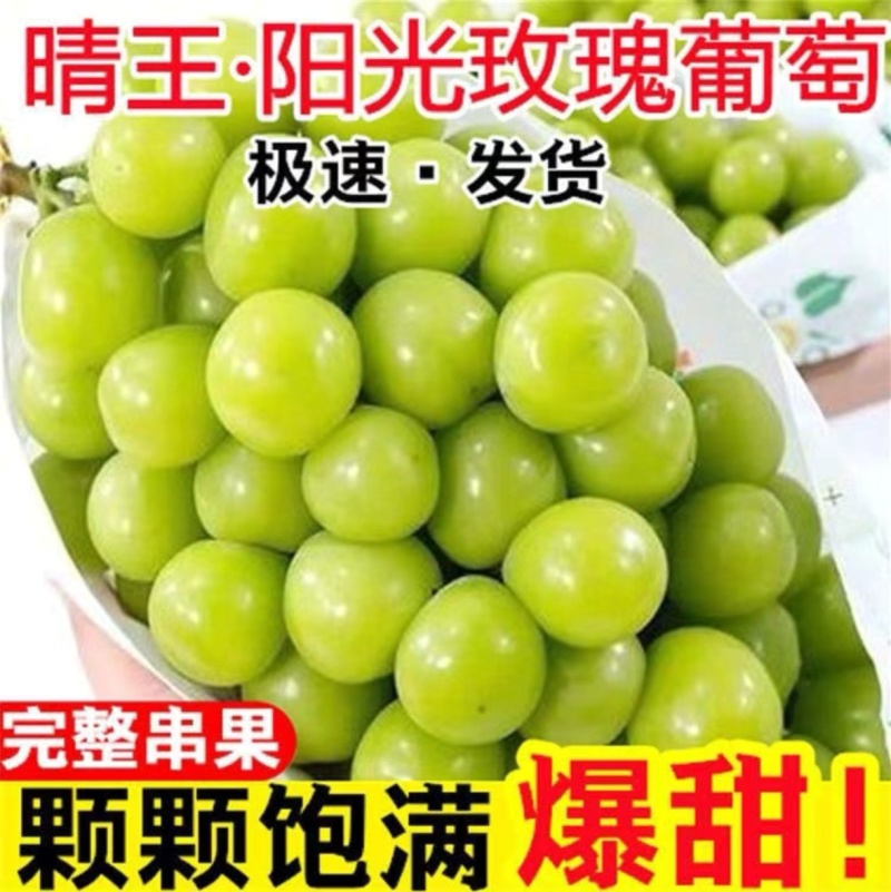 山东精品阳光玫瑰，产地直发，坏果包赔，欢迎来电咨询