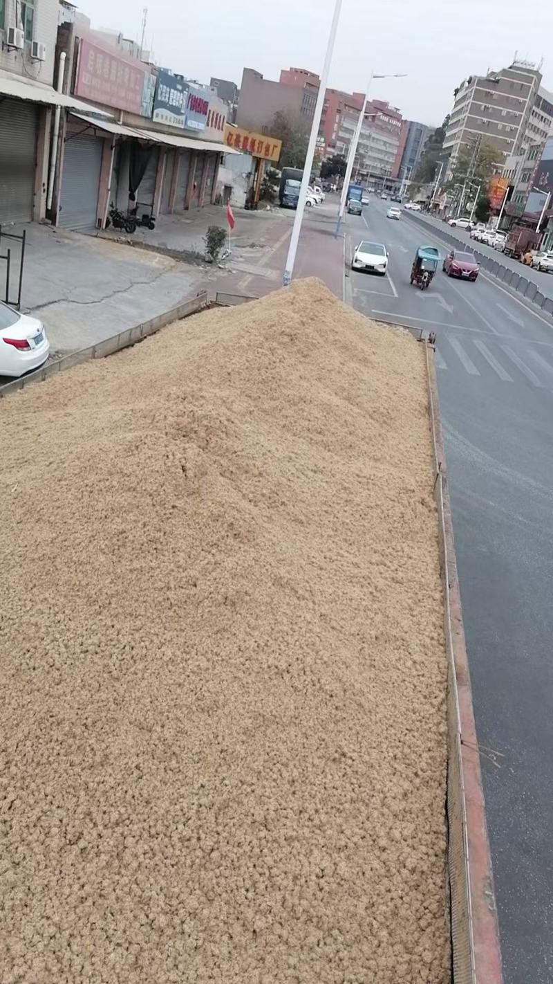 啤酒糟，喂养猪牛羊鸡鸭鹅**辅料.价格实惠