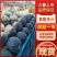 洞庭一号黑无籽大量供应，果型好糖度高耐运输对接电商，市场