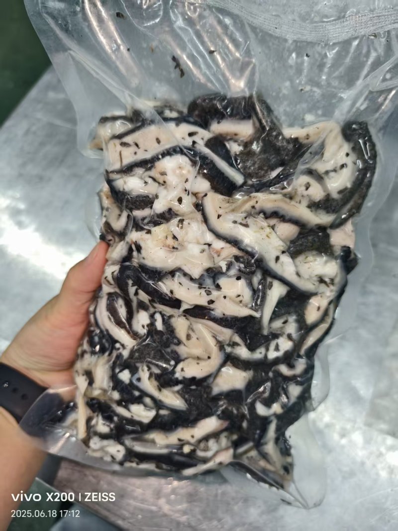 黑肚丝