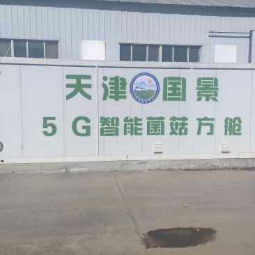 天津智慧方舱种植菌类