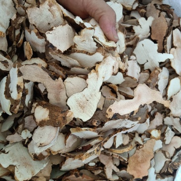 【实力】广东无硫白肉土茯苓一手货源线上下单源头直发