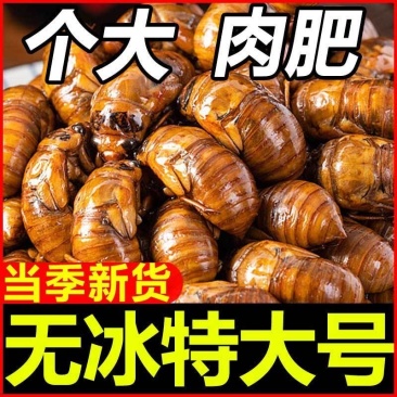 金蝉，电商爆爆爆，支持一件代发，对接各大电商平台，美团，