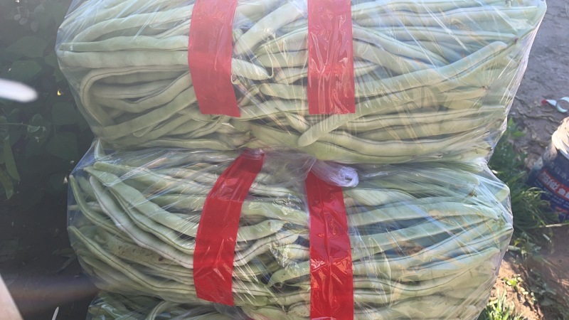 精品豆角