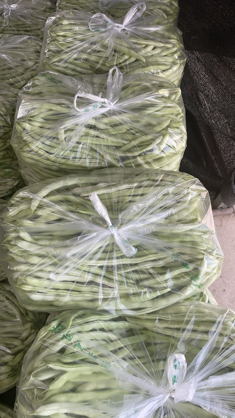 精品豆角