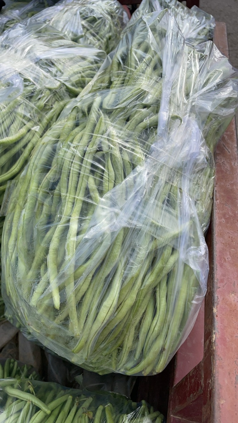 精品豆角