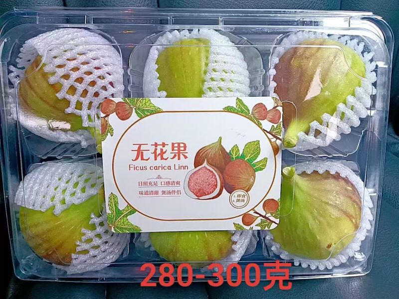 昆明波姬红无花果基地直销，品质有保证，诚信合作