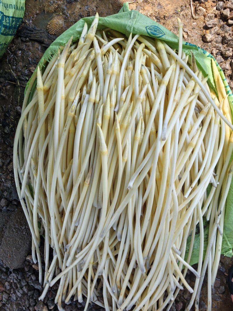 基地直供