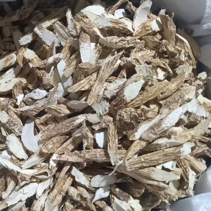 牛大力中牛
