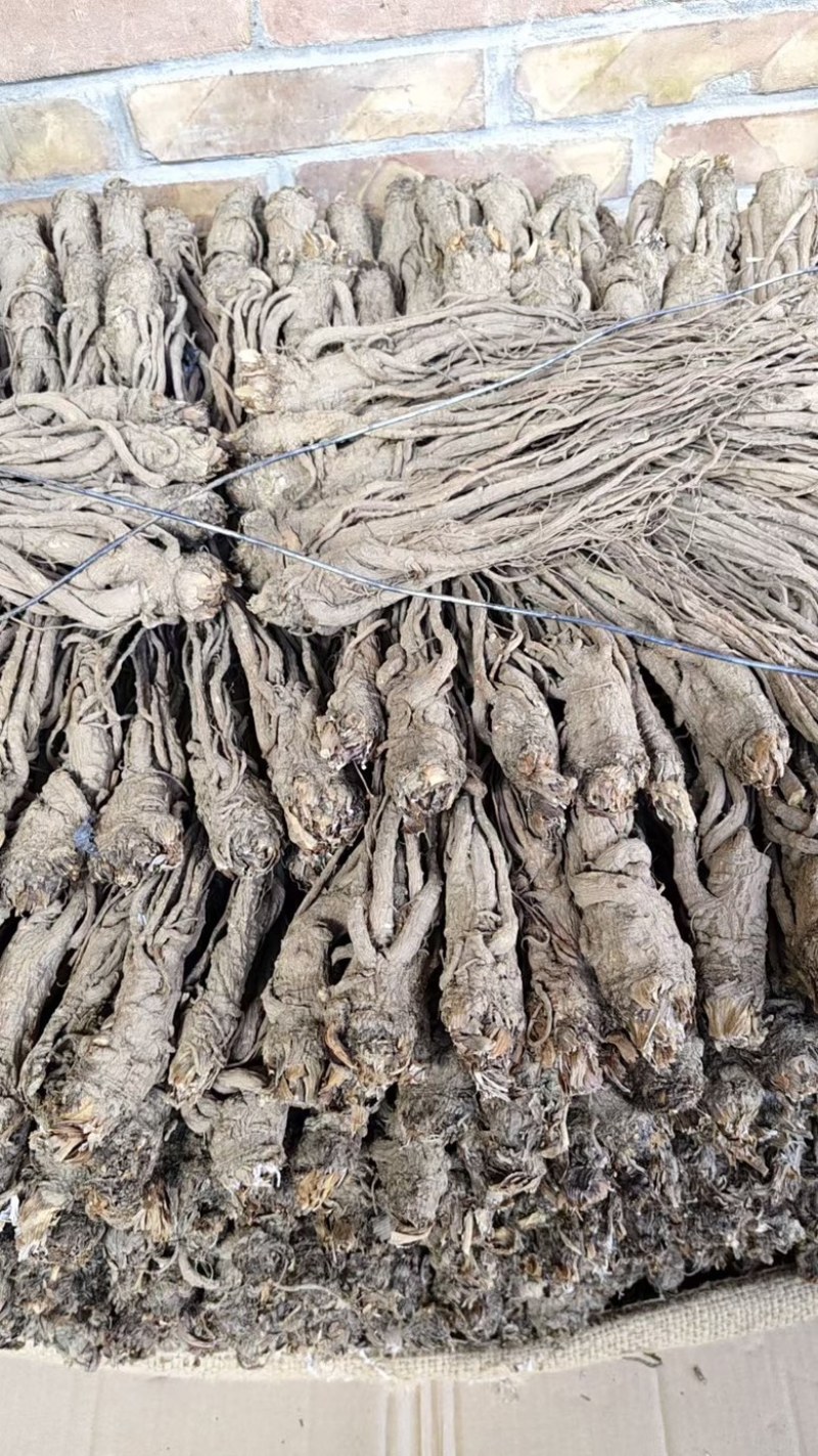 岷县当归，干货规格齐全品质保证诚信经营量大从优