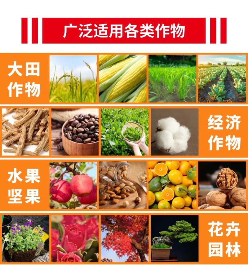 硝酸铵钙厂家直发瓜果蔬菜水溶肥