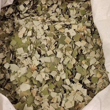 荷叶中药材干货2斤包邮量大优惠