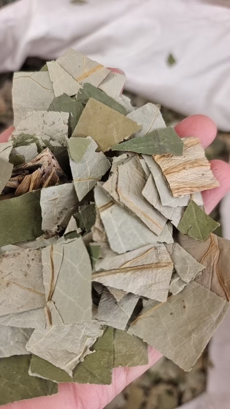 荷叶中药材干货2斤包邮量大优惠