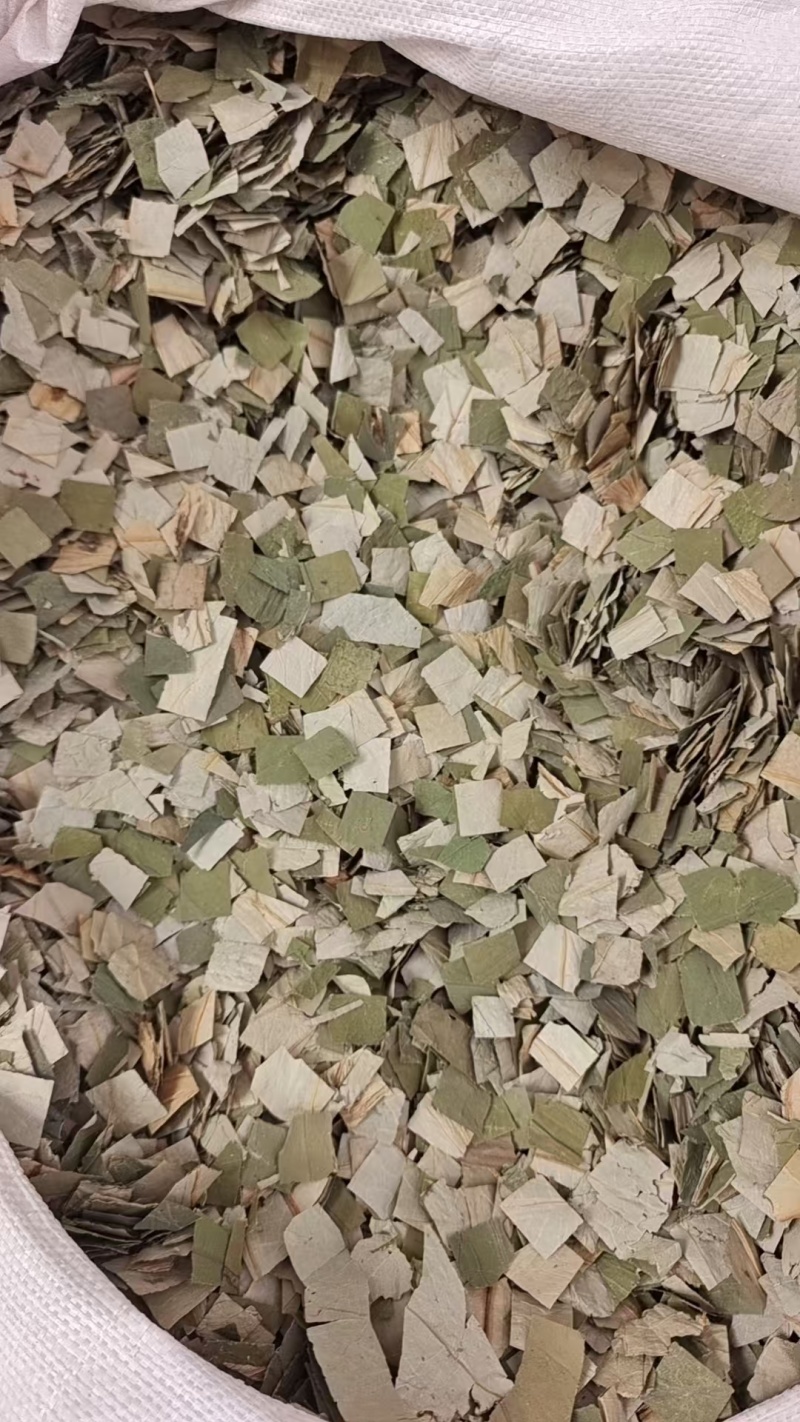荷叶中药材干货2斤包邮量大优惠