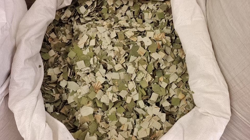 荷叶中药材干货2斤包邮量大优惠