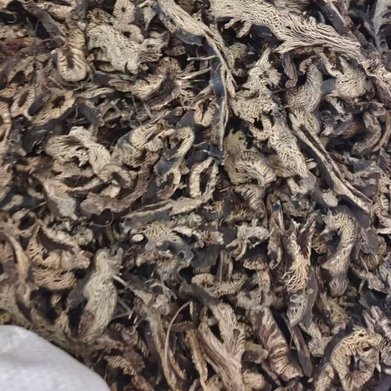 东北升麻选货地道药材2斤起包邮