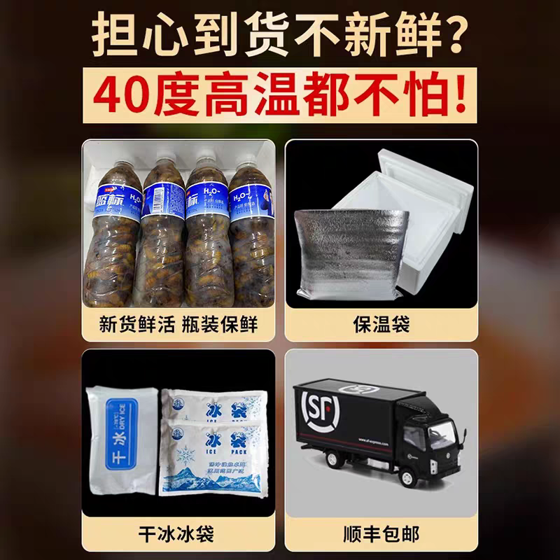 山东金蝉知了猴对接各大电商平台一件代发日供万单
