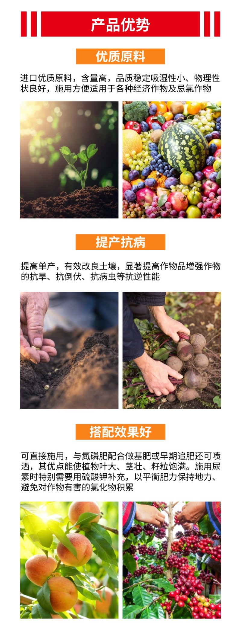 米高硫酸钾硫酸钾钾肥农用肥料厂家直发水果果树用肥