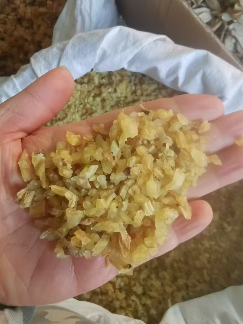 天冬个子切段各种规格量大优惠