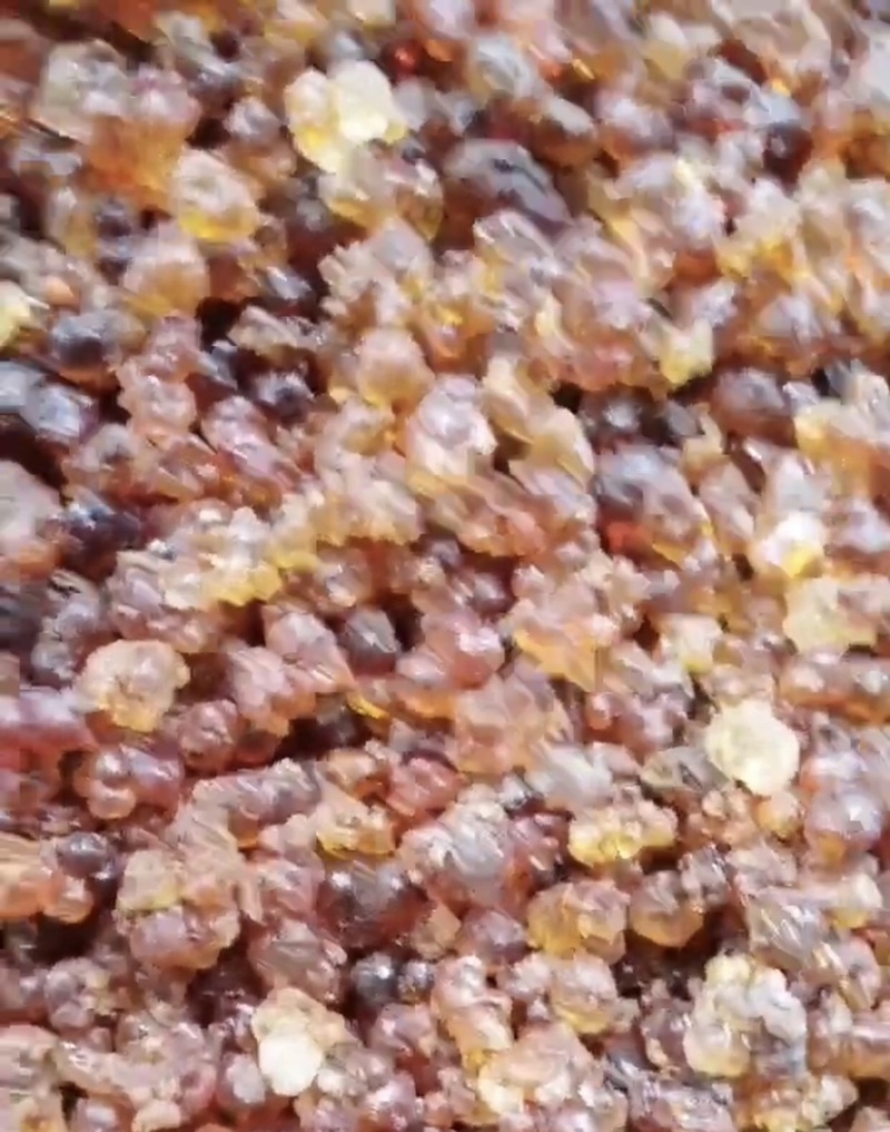 湖北精品天然晾晒桃胶，产地直发，量大从优，欢迎订购