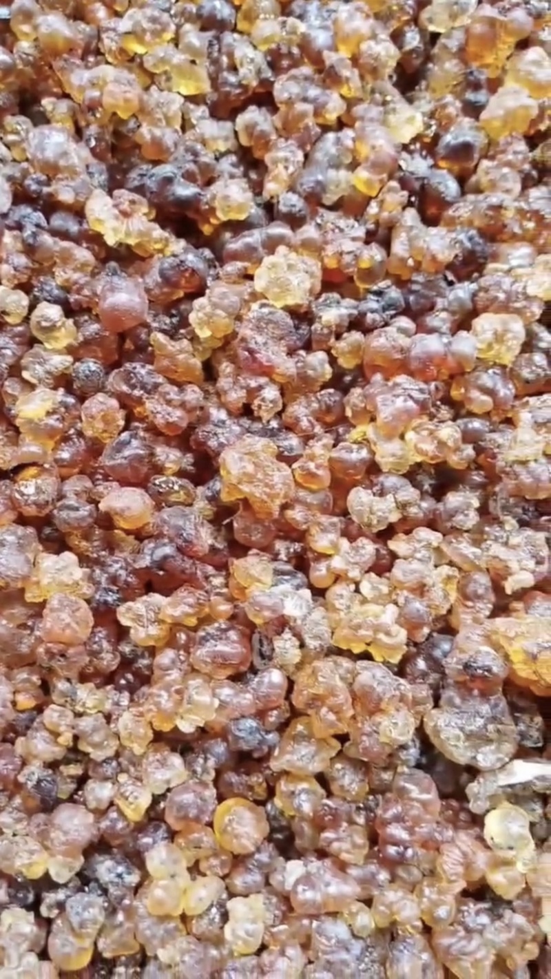湖北精品天然晾晒桃胶，产地直发，量大从优，欢迎订购