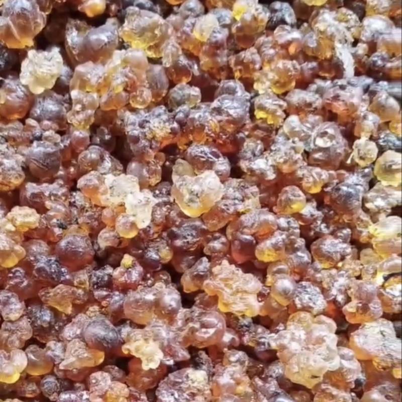湖北天然晾晒桃胶，产地直发，量大从优，可视频看货
