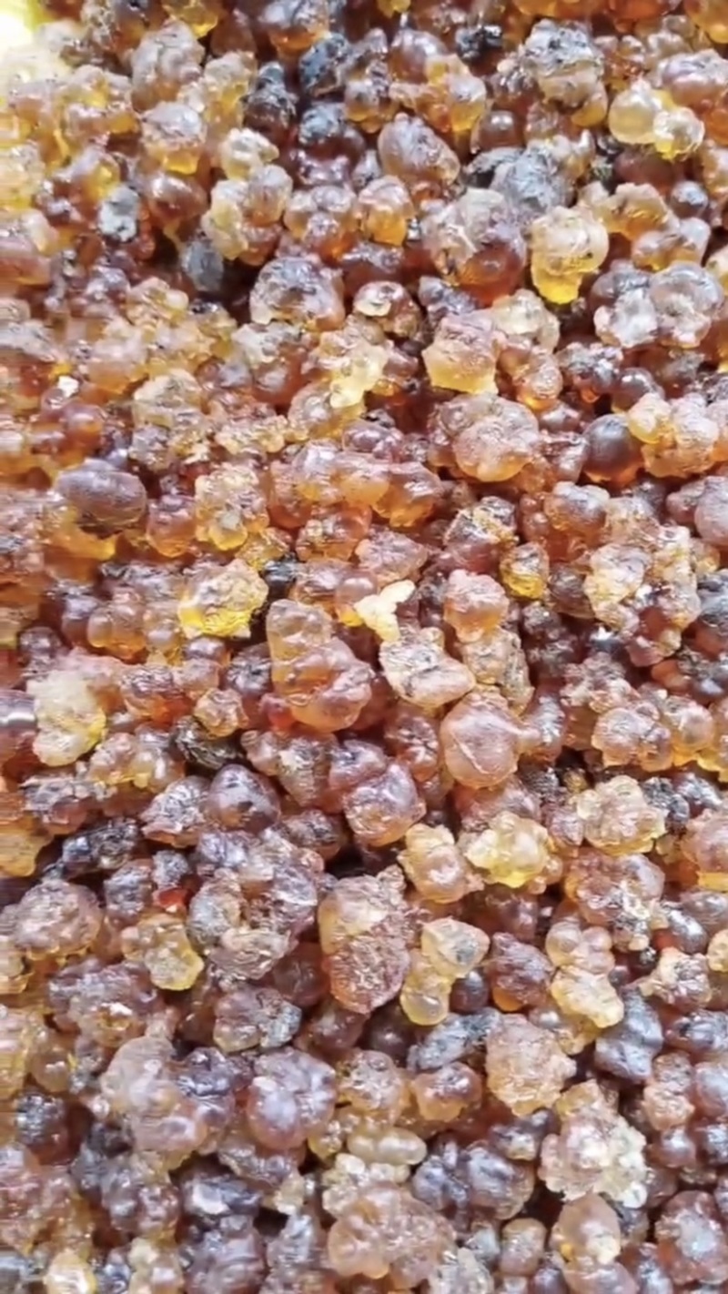 湖北天然晾晒桃胶，产地直发，量大从优，可视频看货