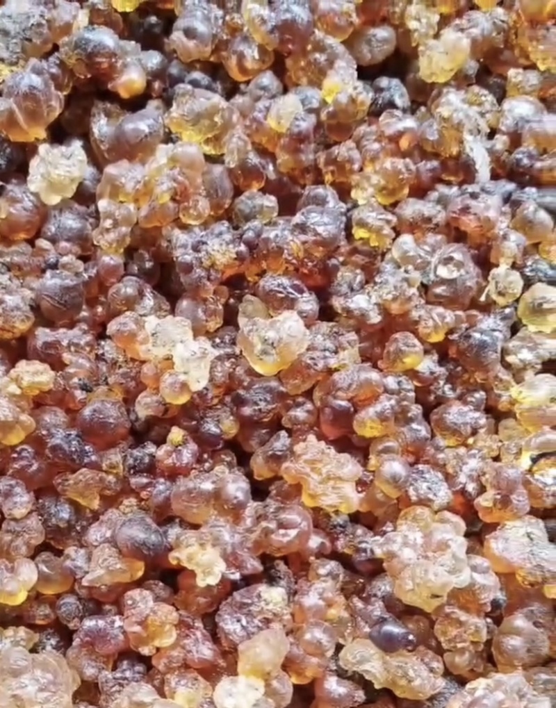 湖北天然晾晒桃胶，产地直发，量大从优，可视频看货