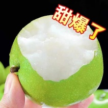 苹果梨青皮蜜梨。口感脆甜无渣，糖分高。货源充足，产地代发。