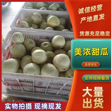 美浓甜瓜许昌甜瓜瓜果类鲜美可口可视频看货