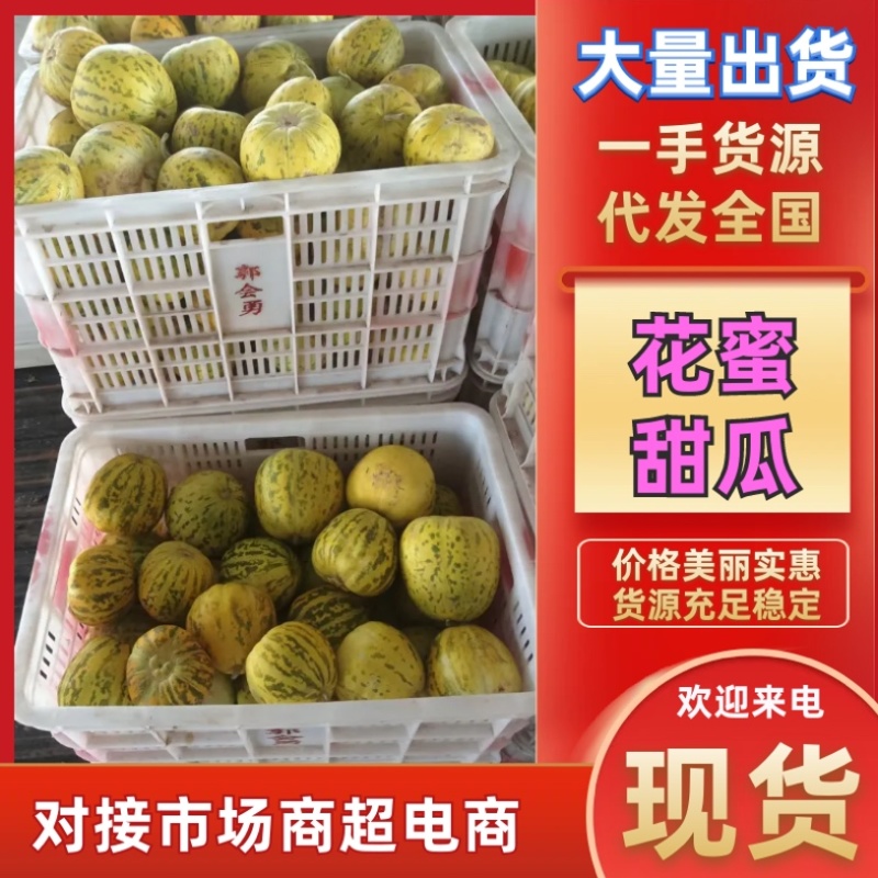 花蜜甜瓜甜瓜水果瓜果香甜可对接电商量大从优
