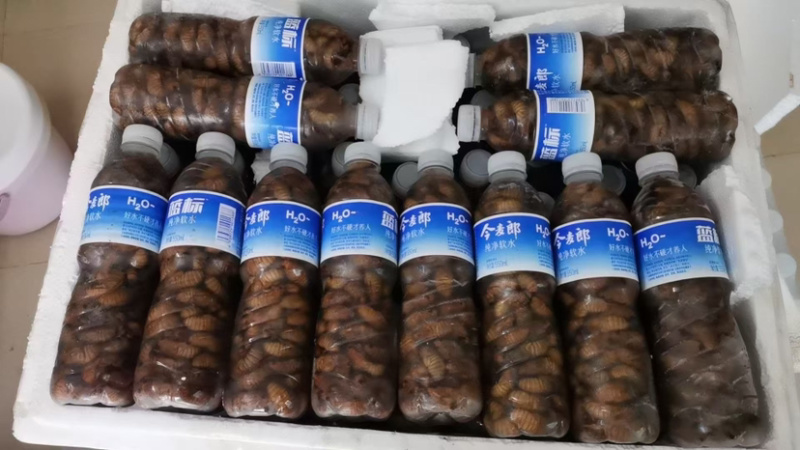 你只负责挣钱，剩下的发货交给我们
