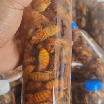 你只负责挣钱，剩下的发货交给我们