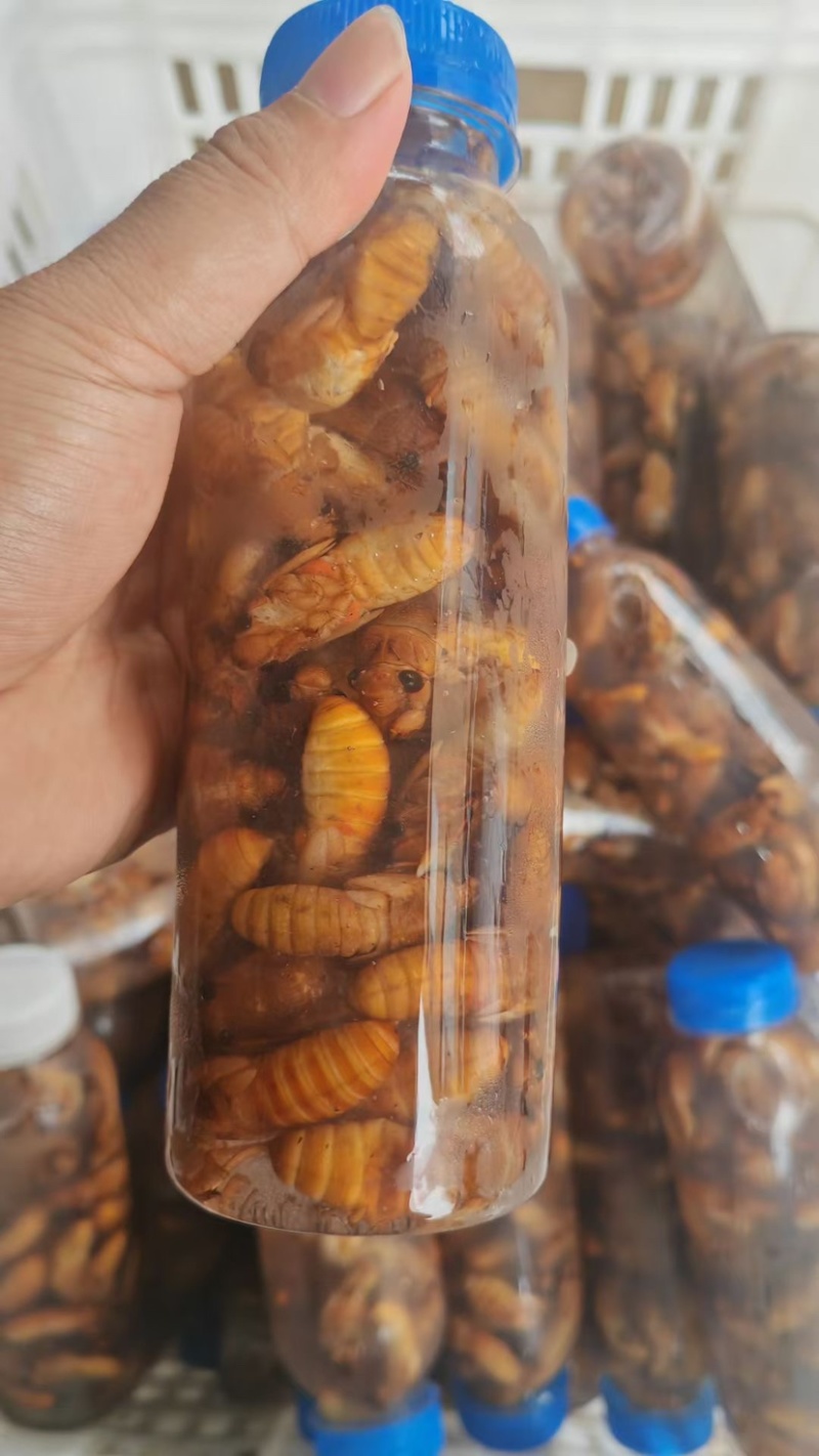 你只负责挣钱，剩下的发货交给我们