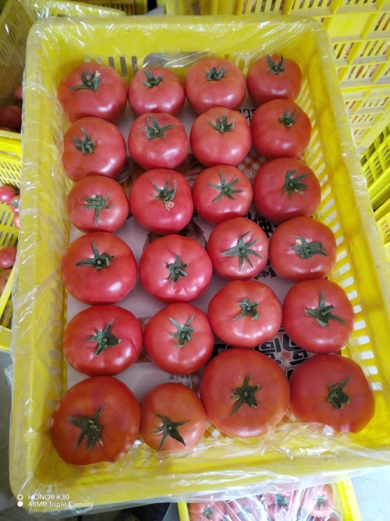高质量硬粉