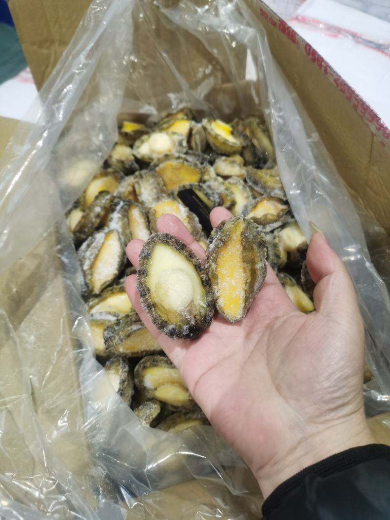 罗源鲍鱼，源头加工，各规格鲍鱼肉都有