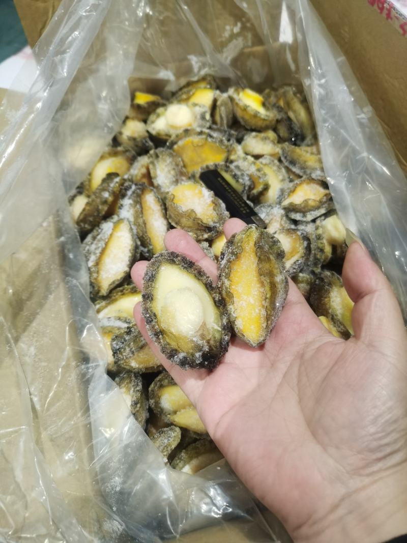 罗源鲍鱼，源头加工，各规格鲍鱼肉都有