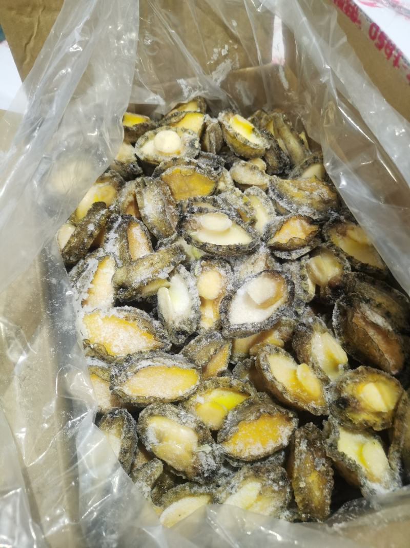 罗源鲍鱼，源头加工，各规格鲍鱼肉都有