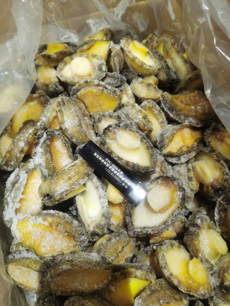 罗源鲍鱼，源头加工，各规格鲍鱼肉都有
