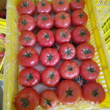 高质量硬粉