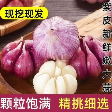 《紫皮大蒜》辽宁基地直发对接商超团购供应链一条龙服务