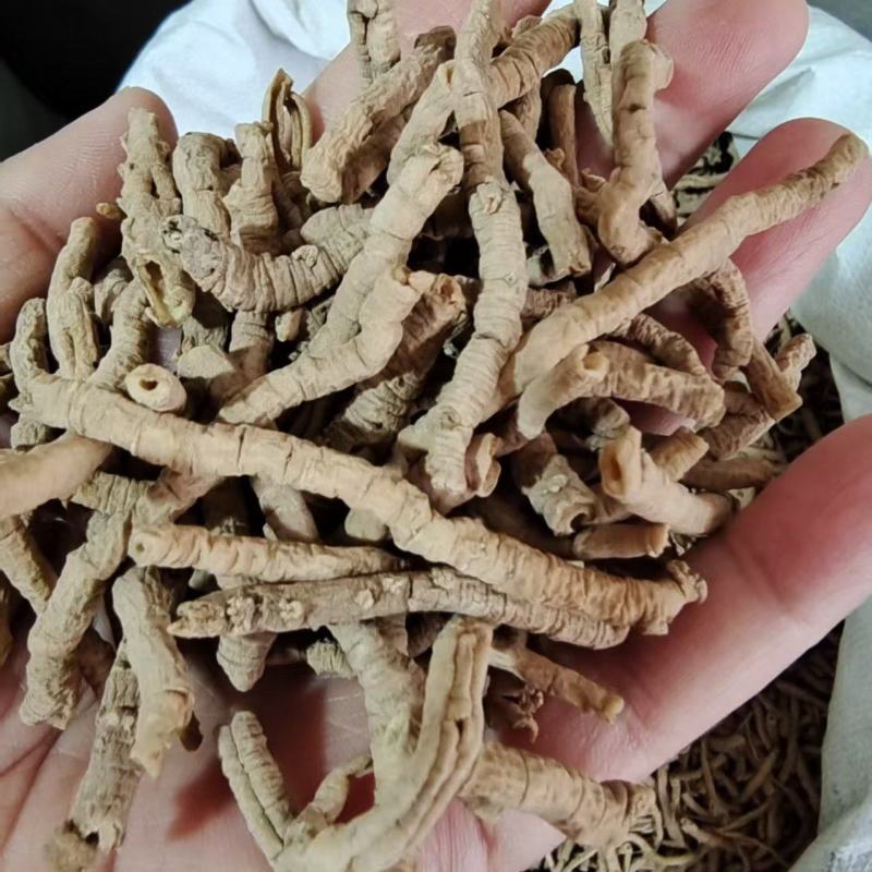 远志各种规格选货2斤包邮量大优惠