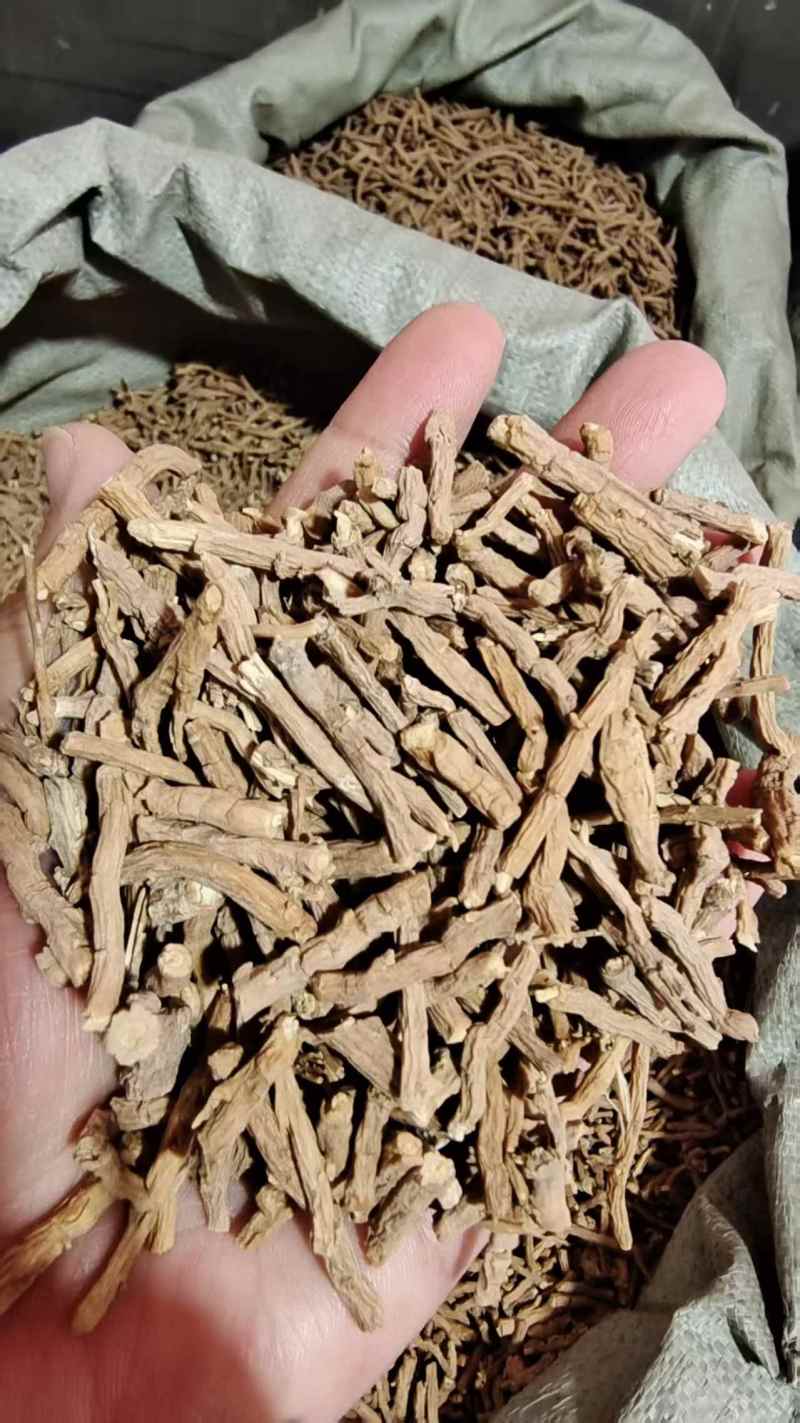 远志各种规格选货2斤包邮量大优惠