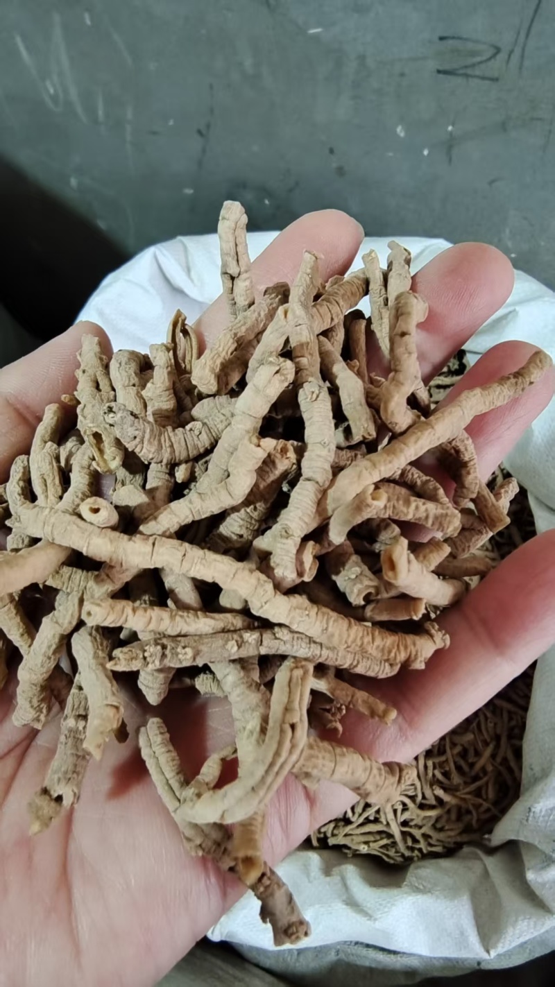 远志各种规格选货2斤包邮量大优惠