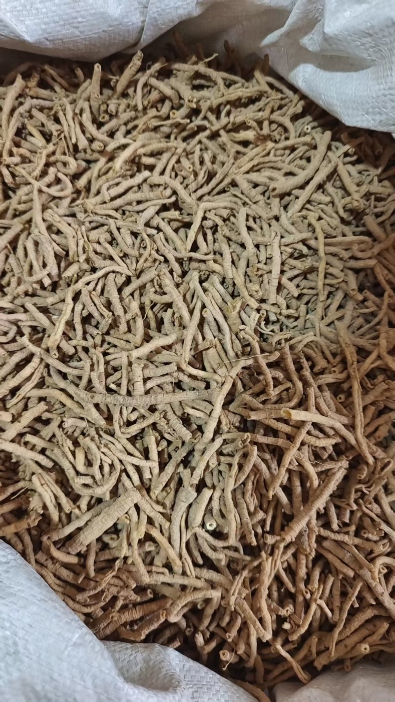 远志各种规格选货2斤包邮量大优惠