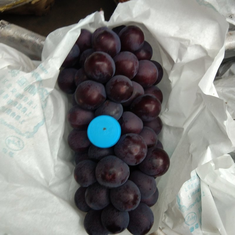 万亩精品巨峰